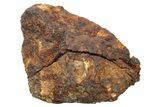 Polished Sericho Pallasite Meteorite ( g) End Cut - Kenya #265845-1
